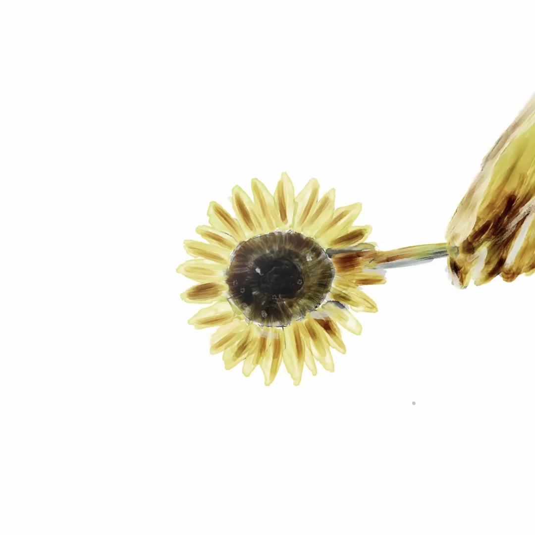 向日葵のアルバムカバーアート